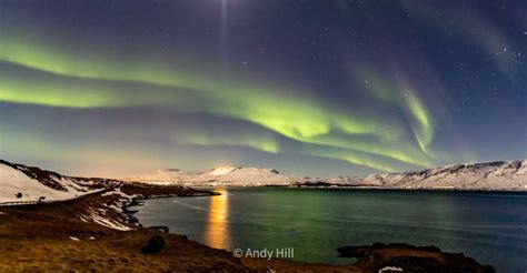 Akureyri Whore